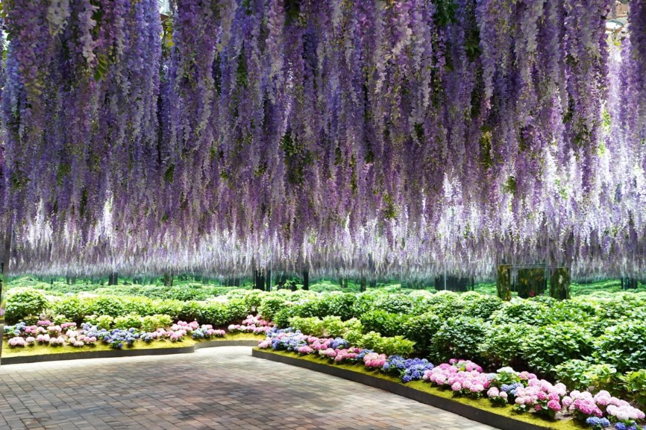 Kensington Resort Gapyeong Eksteriør bilde