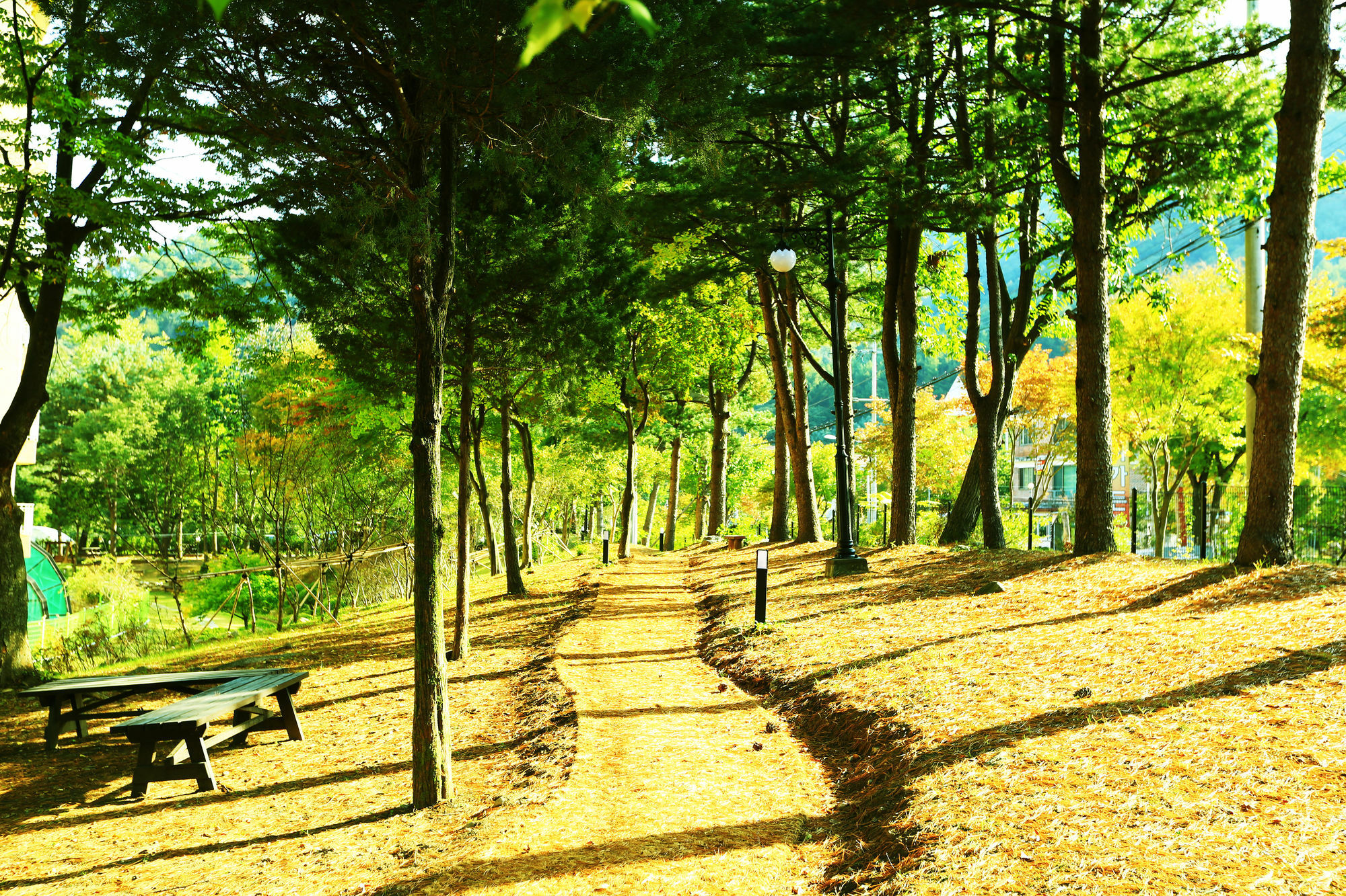 Kensington Resort Gapyeong Eksteriør bilde